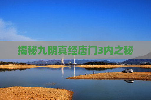揭秘九阴真经唐门3内之秘 揭秘九阴真经唐门3内之秘