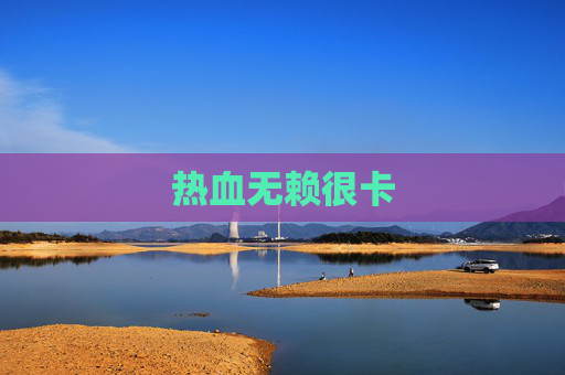 热血无赖很卡