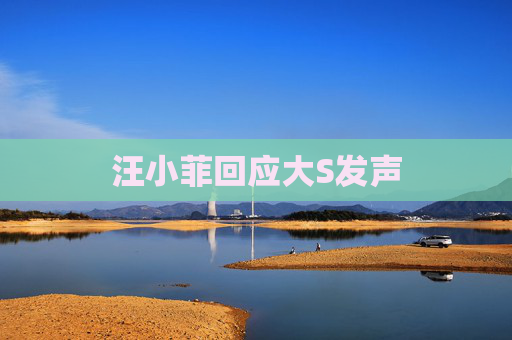 汪小菲回应大S发声 汪小菲回应大S发声