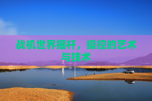 战机世界摇杆,操控的艺术与技术 战机世界摇杆,操控的艺术与技术