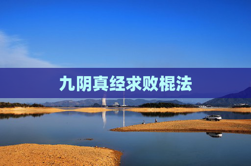 九阴真经求败棍法