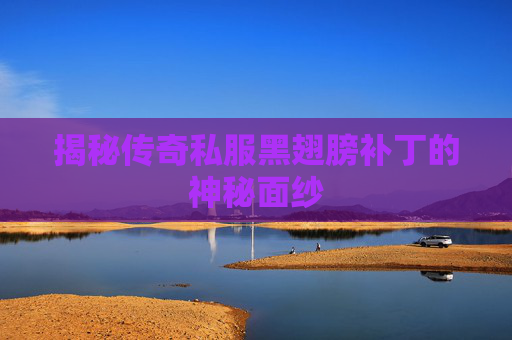 揭秘传奇私服黑翅膀补丁的神秘面纱