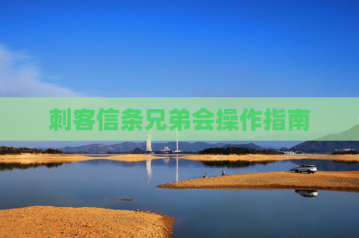 刺客信条兄弟会操作指南