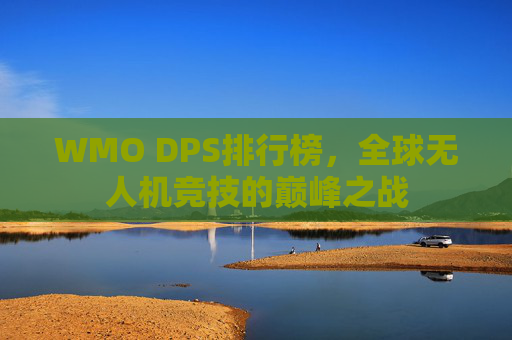 WMO DPS排行榜,全球无人机竞技的巅峰之战 WMO DPS排行榜,全球无人机竞技的巅峰之战