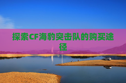 探索CF海豹突击队的购买途径