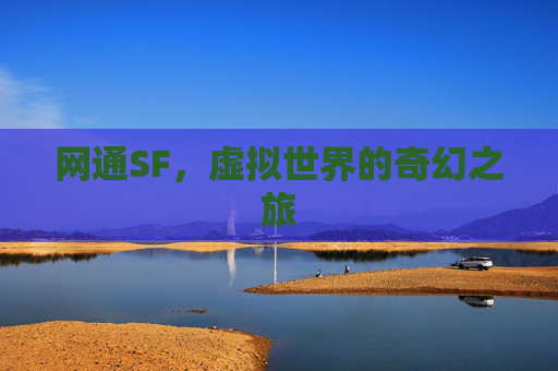 网通SF，虚拟世界的奇幻之旅