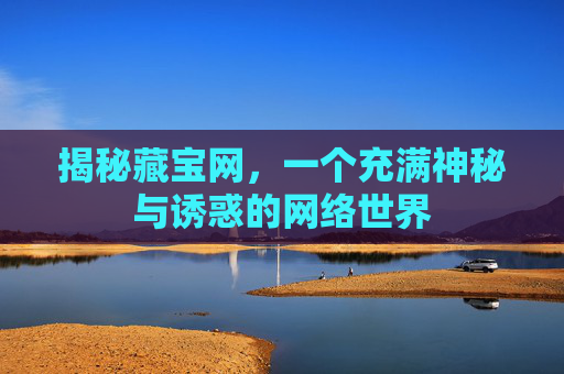 揭秘藏宝网,一个充满神秘与诱惑的网络世界 揭秘藏宝网,一个充满神秘与诱惑的网络世界