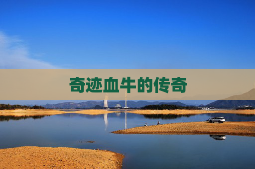 奇迹血牛的传奇