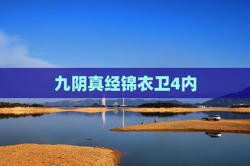 九阴真经锦衣卫4内