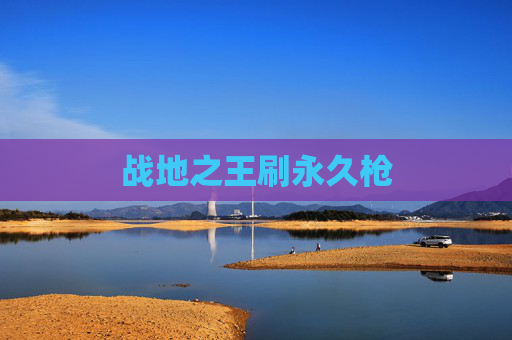战地之王刷永久枪
