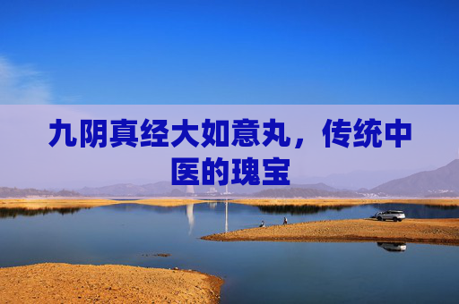 九阴真经大如意丸，传统中医的瑰宝