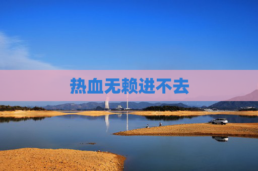 热血无赖进不去