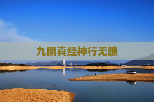 九阴真经神行无踪 九阴真经神行无踪