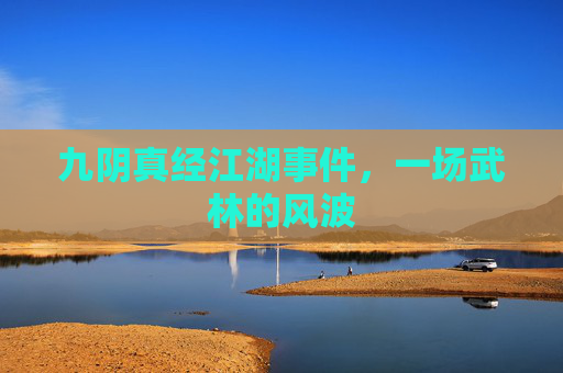 九阴真经江湖事件，一场武林的风波