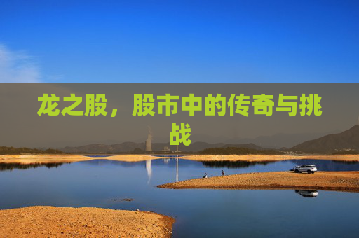 龙之股,股市中的传奇与挑战 龙之股,股市中的传奇与挑战