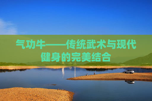 气功牛——传统武术与现代健身的完美结合