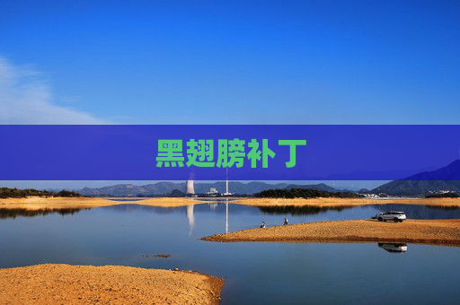 黑翅膀补丁 黑翅膀补丁