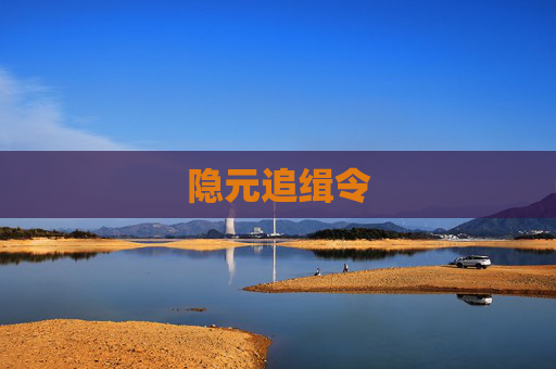 隐元追缉令