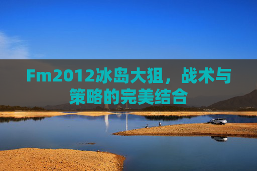 Fm2012冰岛大狙，战术与策略的完美结合