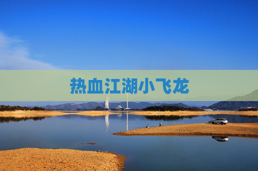 热血江湖小飞龙 热血江湖小飞龙