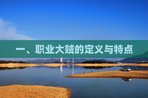 一、职业大贼的定义与特点