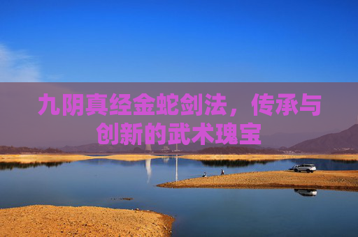 九阴真经金蛇剑法，传承与创新的武术瑰宝