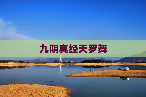 九阴真经天罗舞 九阴真经天罗舞
