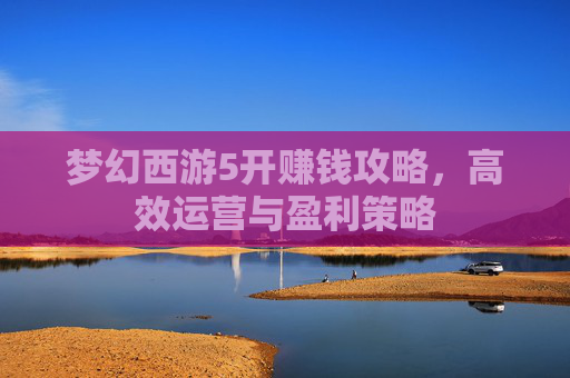 梦幻西游5开赚钱攻略,高效运营与盈利策略 梦幻西游5开赚钱攻略,高效运营与盈利策略