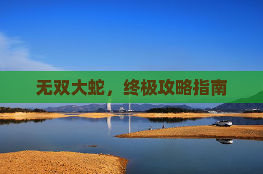 无双大蛇,终极攻略指南 无双大蛇,终极攻略指南