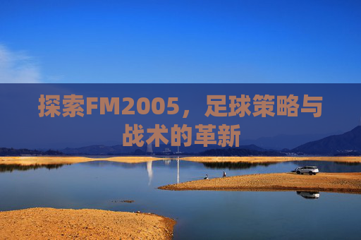 探索FM2005，足球策略与战术的革新