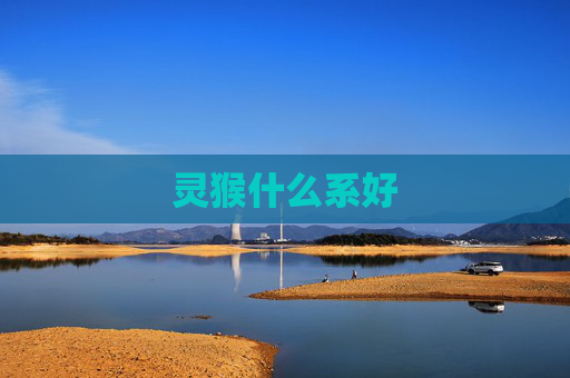 灵猴什么系好 灵猴什么系好