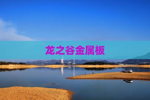 龙之谷金属板 龙之谷金属板
