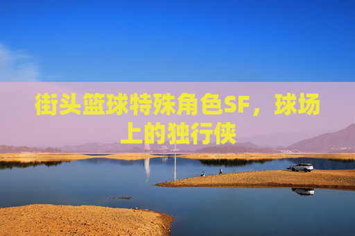 街头篮球特殊角色SF,球场上的独行侠 街头篮球特殊角色SF,球场上的独行侠