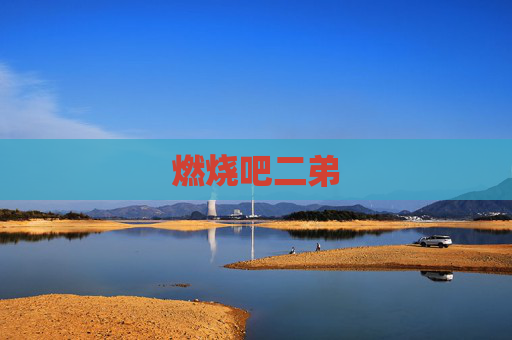 燃烧吧二弟