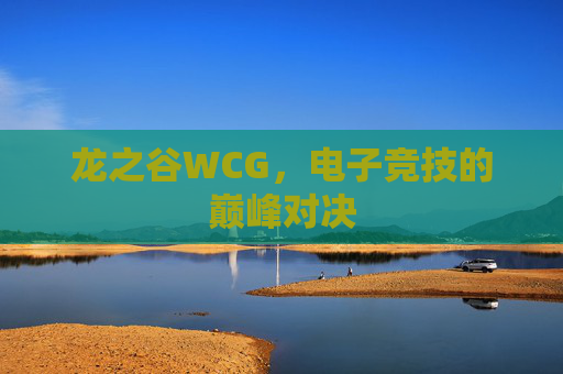 龙之谷WCG,电子竞技的巅峰对决 龙之谷WCG,电子竞技的巅峰对决
