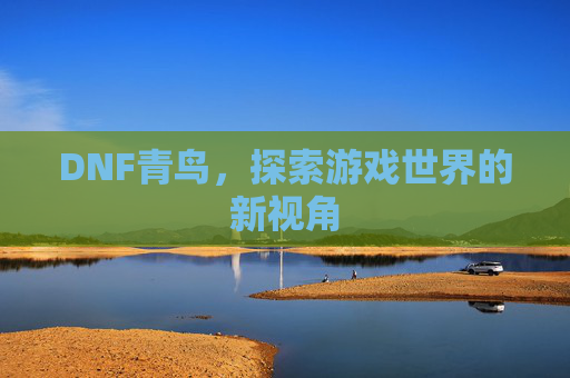 DNF青鸟，探索游戏世界的新视角