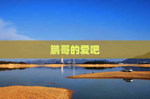 鹏哥的爱吧