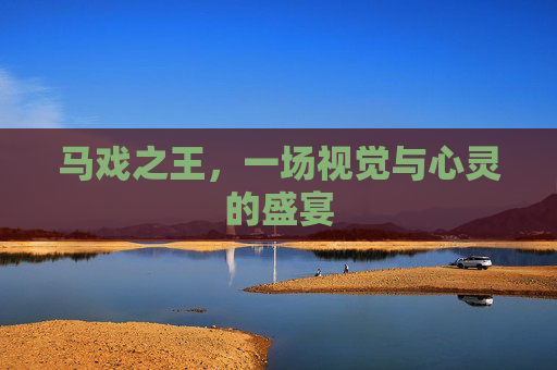 马戏之王,一场视觉与心灵的盛宴 马戏之王,一场视觉与心灵的盛宴