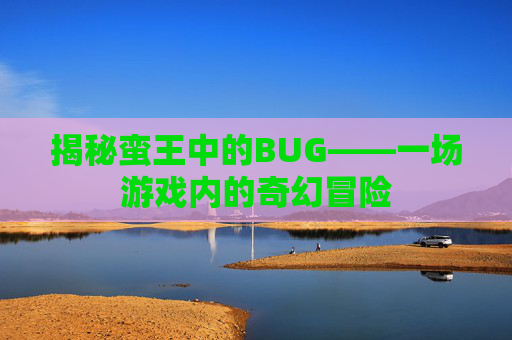 揭秘蛮王中的BUG——一场游戏内的奇幻冒险