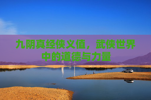 九阴真经侠义值，武侠世界中的道德与力量