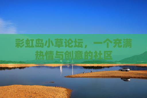 彩虹岛小草论坛,一个充满热情与创意的社区 彩虹岛小草论坛,一个充满热情与创意的社区