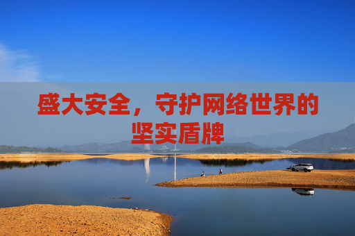 盛大安全，守护网络世界的坚实盾牌