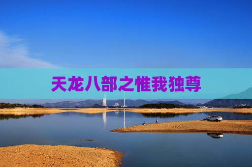 天龙八部之惟我独尊 天龙八部之惟我独尊