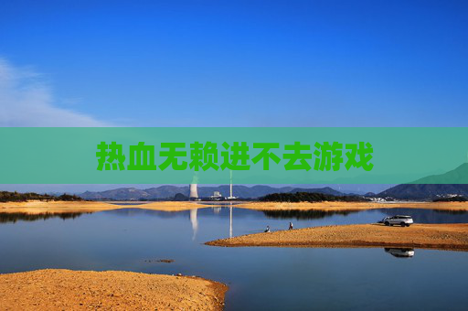 热血无赖进不去游戏