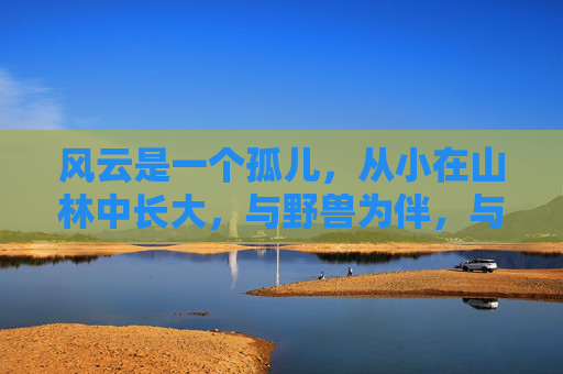 风云是一个孤儿，从小在山林中长大，与野兽为伴，与自然为伍。他的武魂，是一种神秘的能量，随着他的成长而逐渐觉醒。每当夜幕降临，他便能感受到武魂在体内涌动，仿佛有一股力量在召唤着他