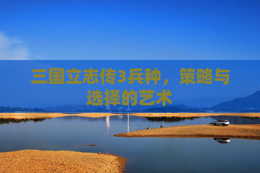 三国立志传3兵种，策略与选择的艺术