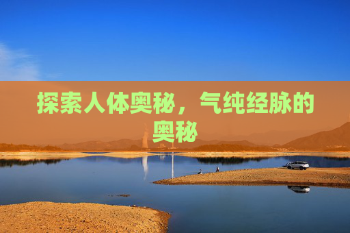 探索人体奥秘,气纯经脉的奥秘 探索人体奥秘,气纯经脉的奥秘