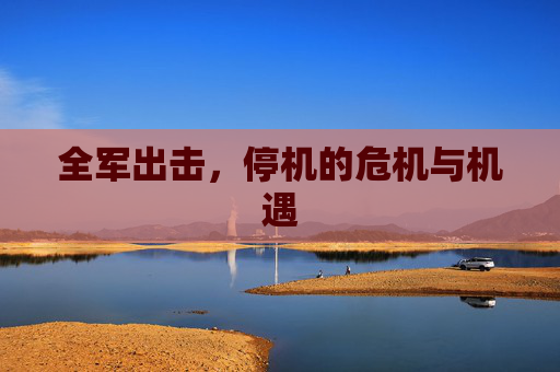 全军出击，停机的危机与机遇