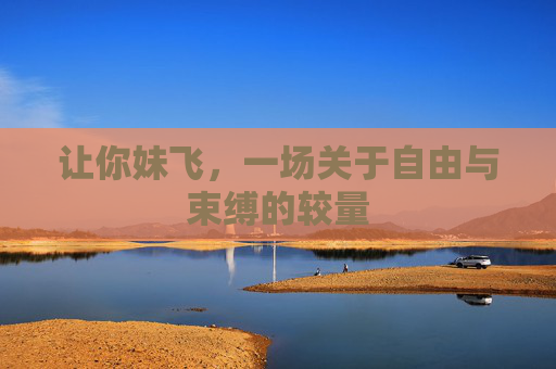 让你妹飞，一场关于自由与束缚的较量