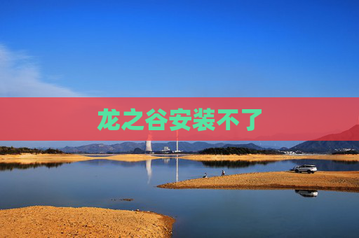 龙之谷安装不了